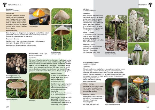 Fungi of the Hills and Gullies Booklet by Sofia Zvolanek and Elizabeth Noble - Image 2